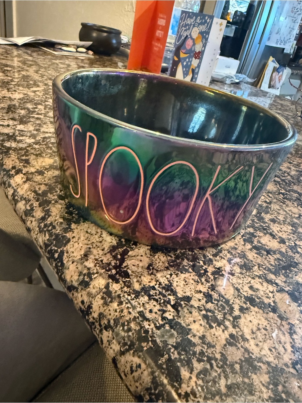 Rae Dunn Halloween Iridescent
Spooky dog bowl